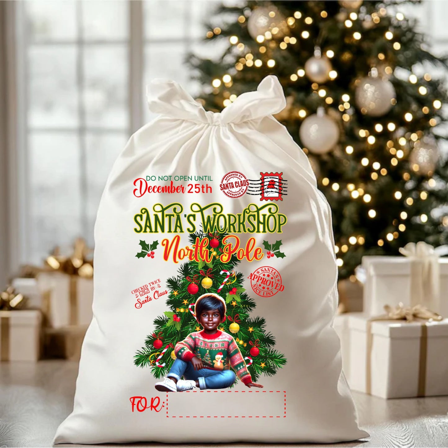 Desi Holiday Gift Sack