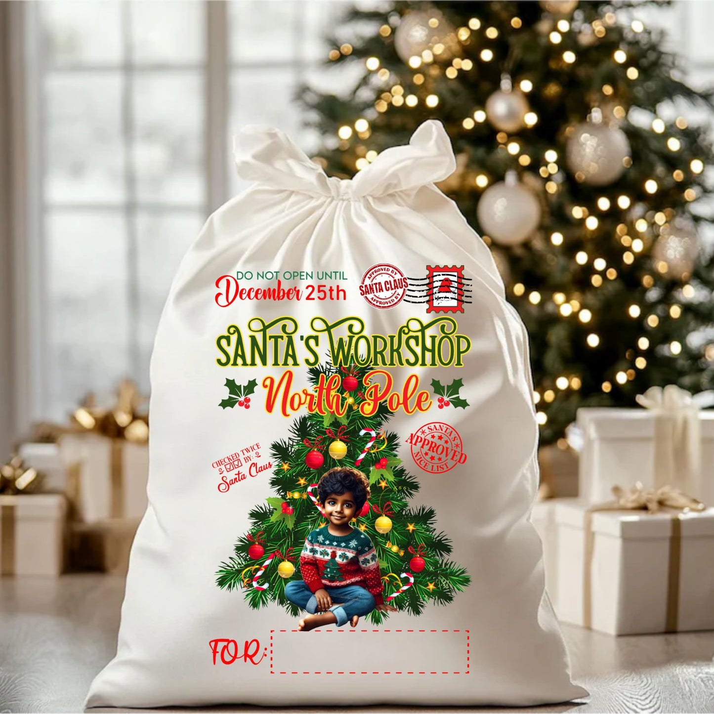 Desi Holiday Gift Sack