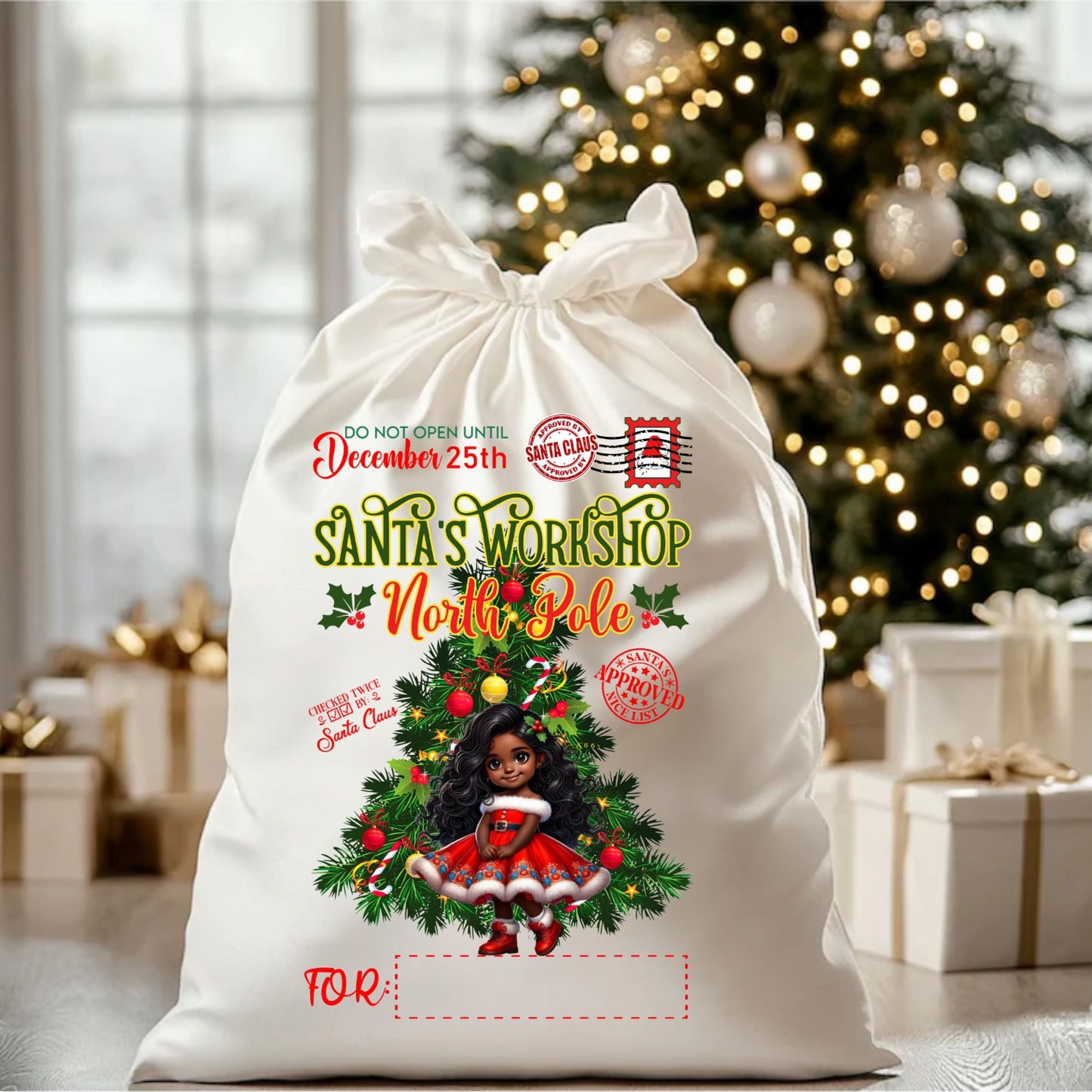 Desi Holiday Gift Sack